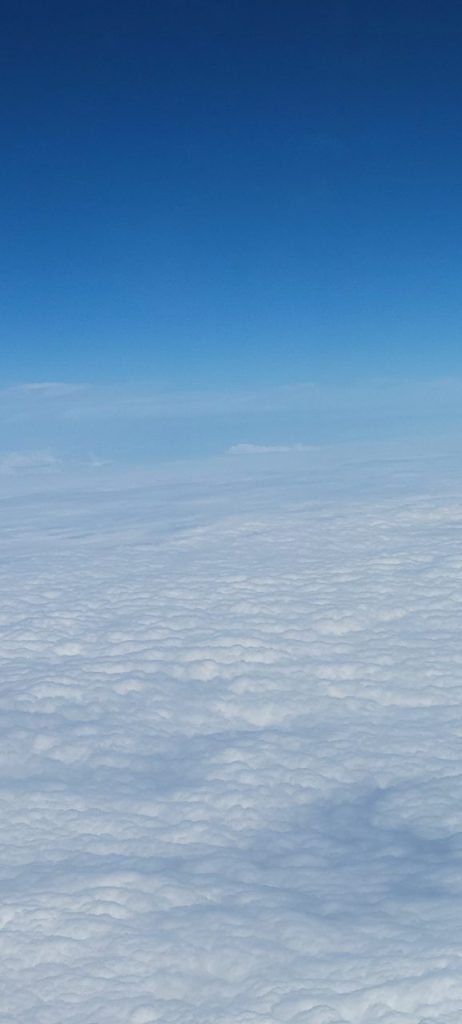 飛行機からの景色