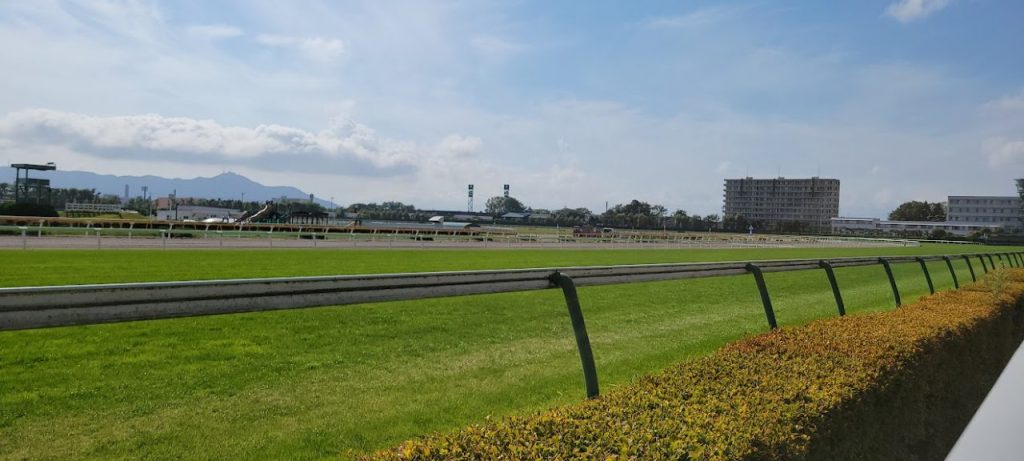 とてもきれいな「函館競馬場」パート２