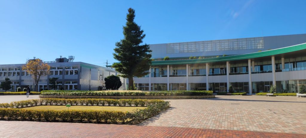 毎年11月末ぐらいから2月まであるイルミネーションが今年は節電でありません。なんか寂しい・・・