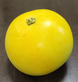 柑橘類最大！「晩白柚（ばんぺいゆ）」です(^^)v