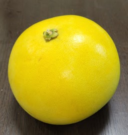 柑橘類最大!「晩白柚(ばんぺいゆ)」です(^^)v