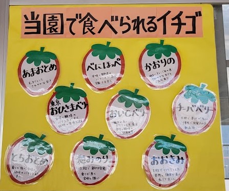 今回のいちごの説明です(>_<)先に見ておけば良かった・・・でも、美味しかったから良しとしよう。