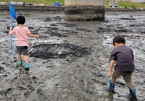 お友達と一緒に足がはまりながらカニ探しです。