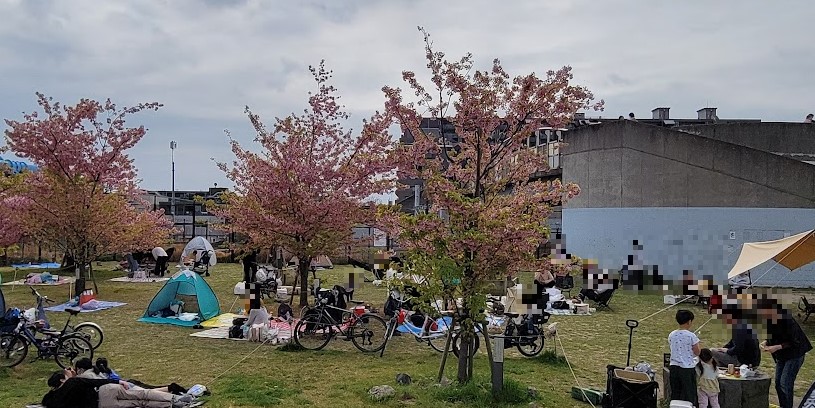 桜が咲くと花見をする人が。