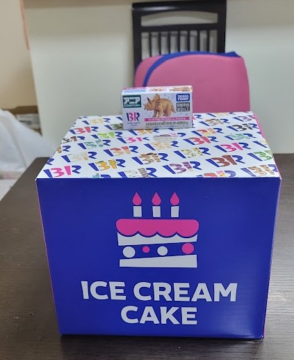 長男からの希望でサーティワンアイスクリームのアイスケーキです(^_^)/