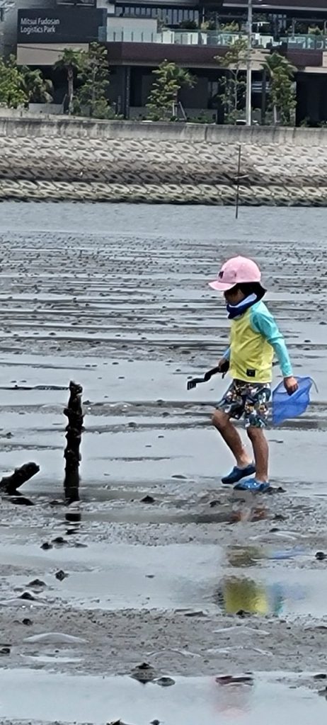 小さなカニを発見！これからは捕まえるのは貝ではなくカニだけになりました。