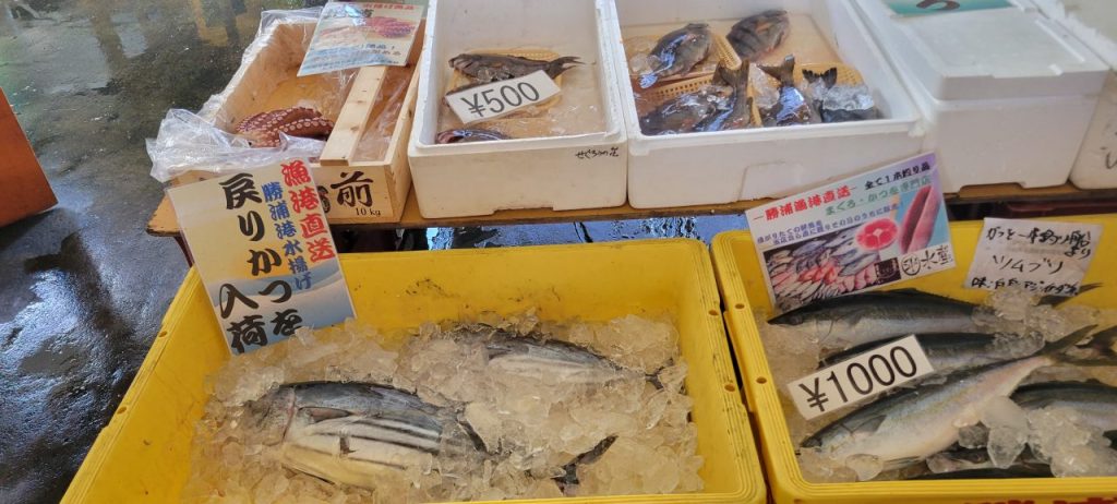 新鮮でおいしそうな魚が並んでいます。食べる事はできませんがバーベキュー用に「戻りかつを」に目を付けました。