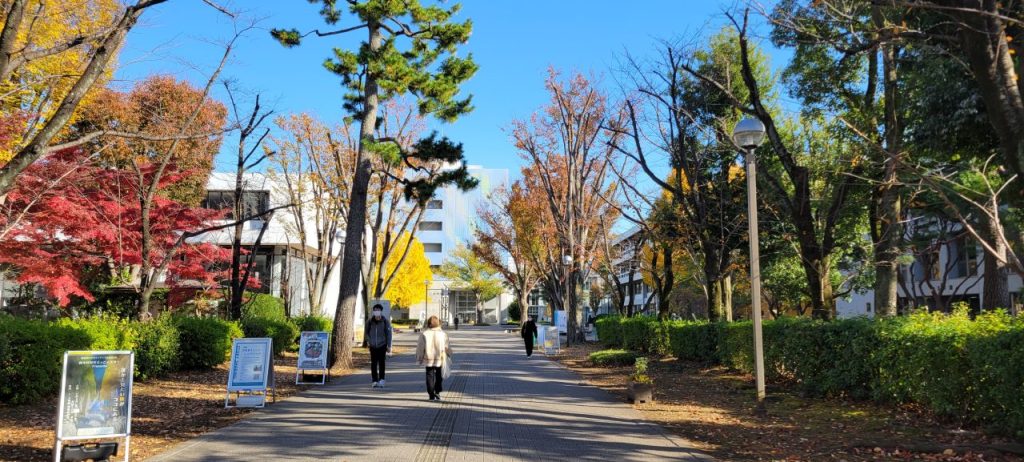 石畳の道の突き当たりがキャリアセンターになります。正道横の木は寂しくなっていますね。