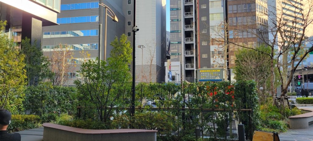 今年初めてのS大学登校!10号館の中庭も葉っぱが散って冬化粧