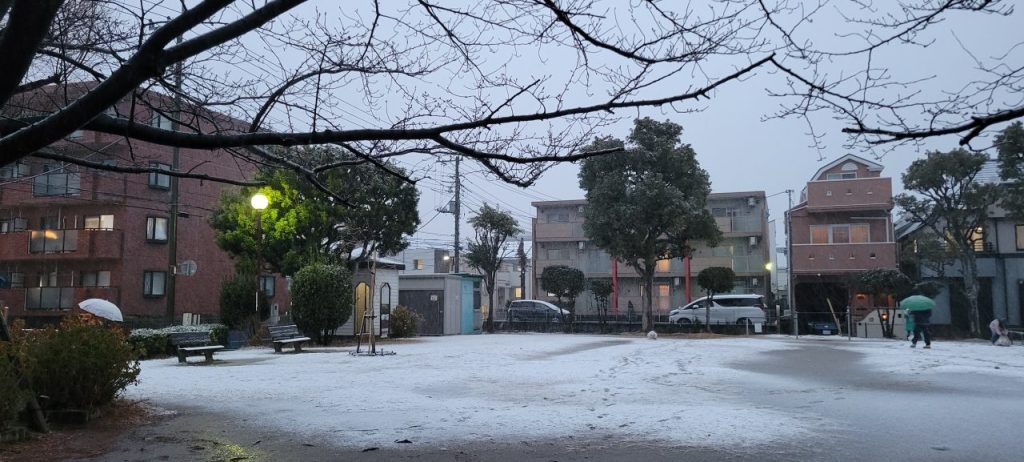 塩の花公園も雪で白くなってきました(>_<)これはヤバそうです。