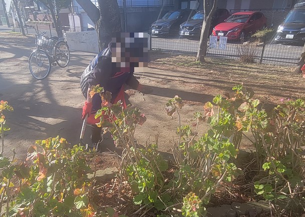 前までは塩の花公園はタバコのポイ捨てが凄かったのですが、市川市の公園緑地課の看板効果か大変少なくなりました