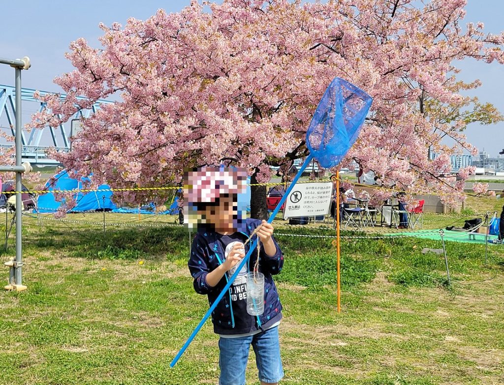 桜が満開で綺麗な江戸川の土手!花見気分でハイポーズ