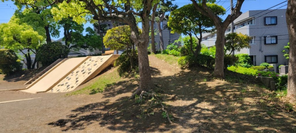 2時間以上かけ何とか綺麗になりました(^_^;)