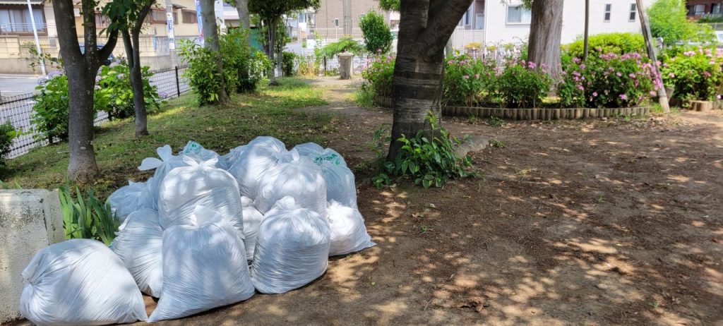 ゴミ袋が21袋。本当に雑草が伸びてましたね